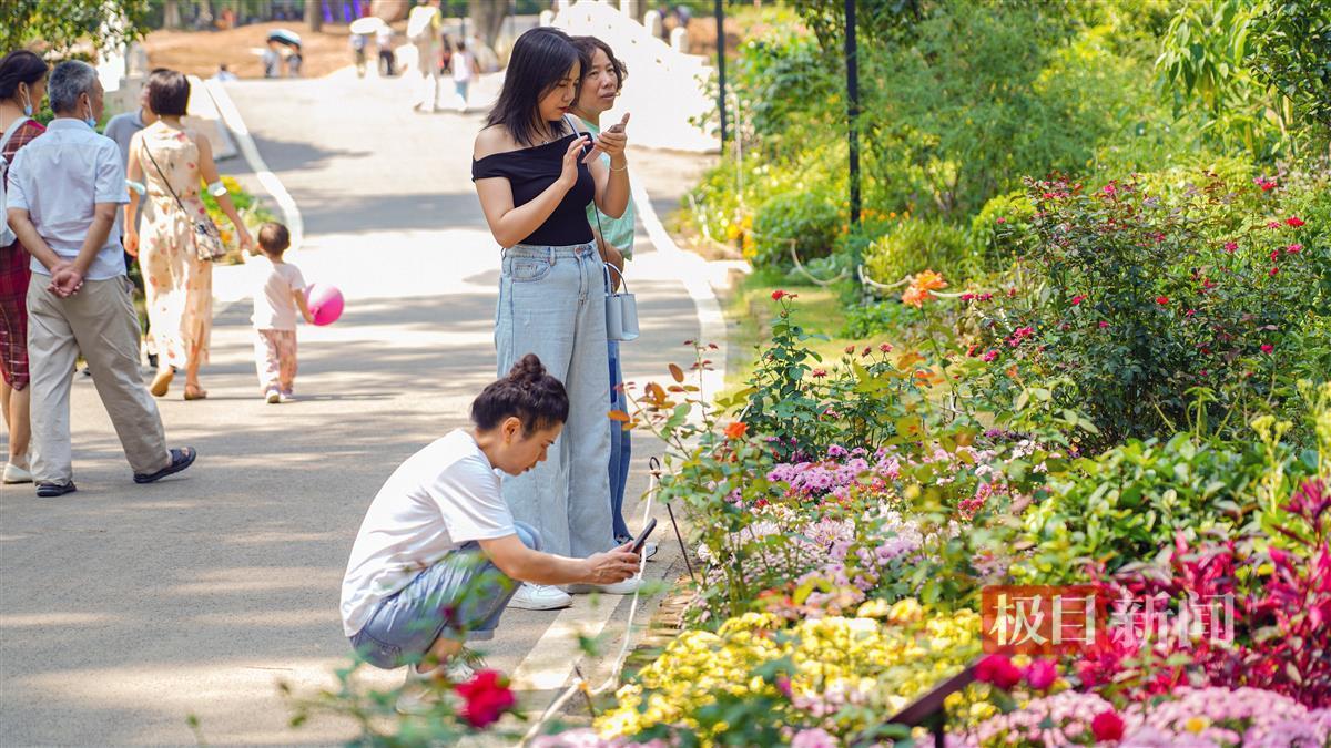 永利线上现金