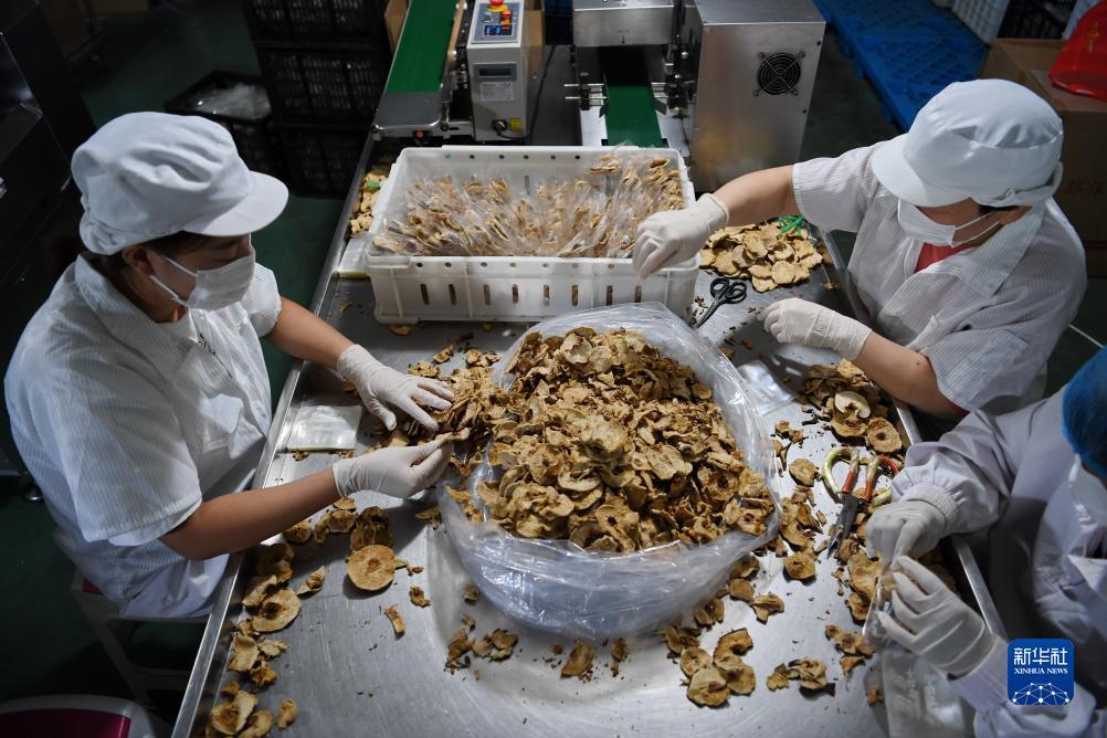 45游戏网
